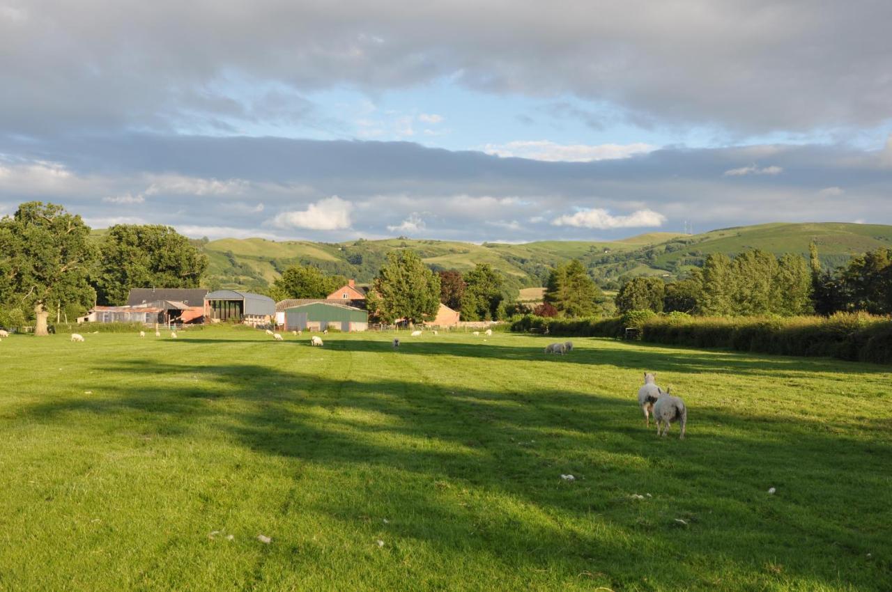 Mid Wales Arts B&B Caersws Exterior photo